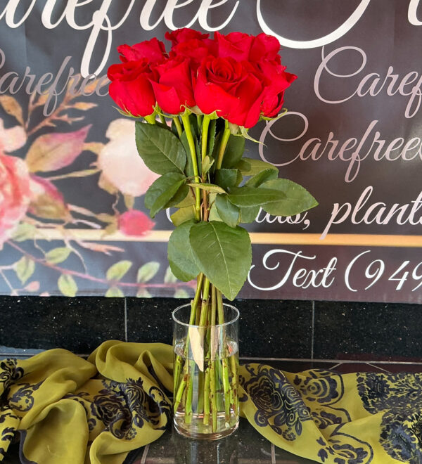 Dozen Red Roses