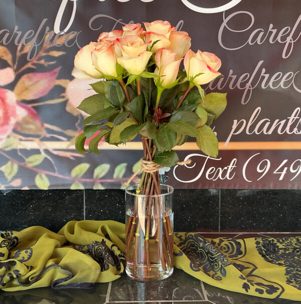 Dozen Roses